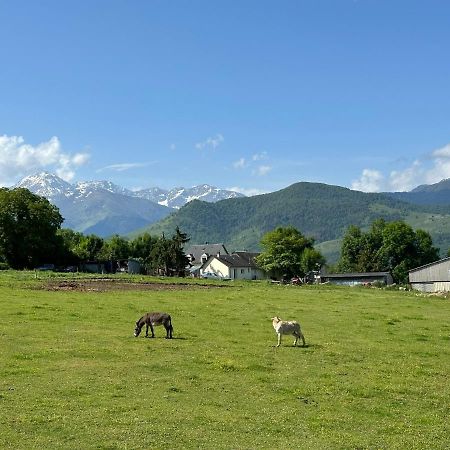 Mobil-Home Cosy, Calme, Therme, Aquensis, Casino 巴涅尔德比戈尔 外观 照片