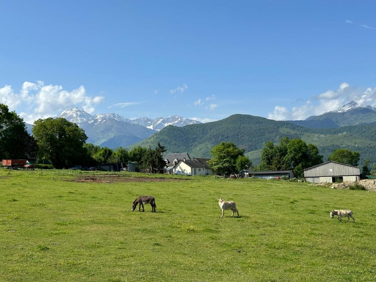 Mobil-Home Cosy, Calme, Therme, Aquensis, Casino 巴涅尔德比戈尔 外观 照片